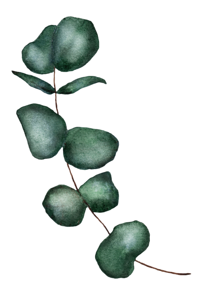 illustratsioon