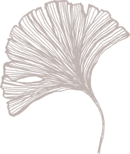illustratsioon