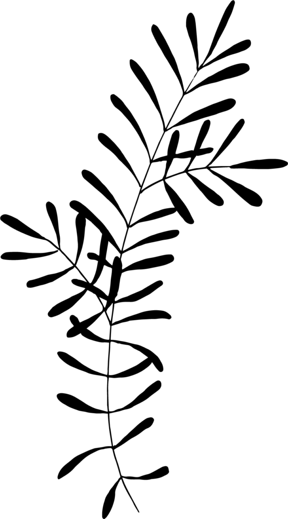 illustratsioon